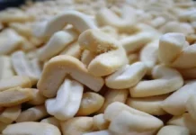 Biscoito Vovó Sentada Aglomerado de diversos biscoitos em forma de L, levemente dourados. Muito conhecidos como vovó sentada em algumas regiões.